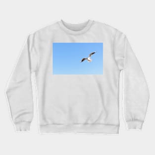 White seagull flying in the bright blue sky Crewneck Sweatshirt